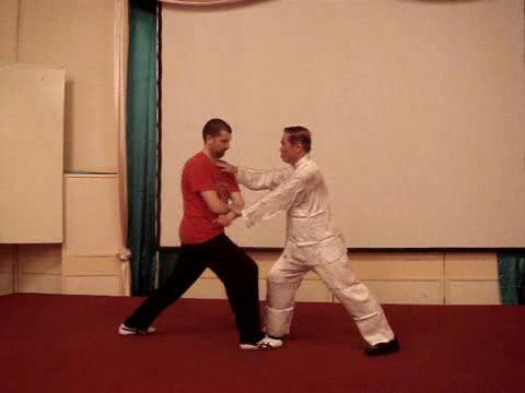 Wahnam Taijiquan