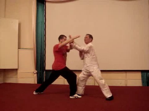 Wahnam Taijiquan