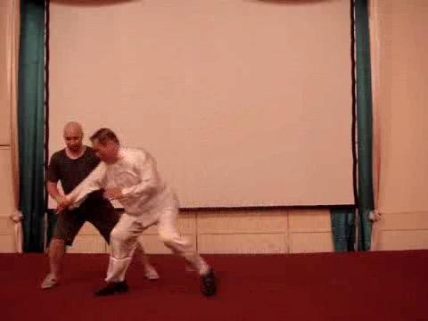 Wahnam Taijiquan