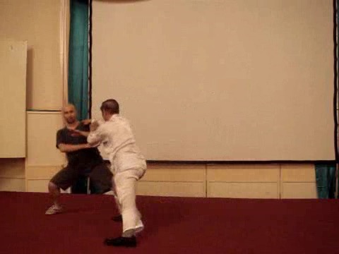 Wahnam Taijiquan