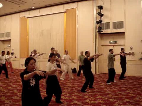 Wahnam Taijiquan