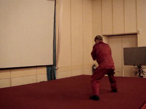 Wahnam Taijiquan