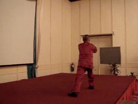 Wahnam Taijiquan