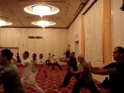 Wahnam Taijiquan