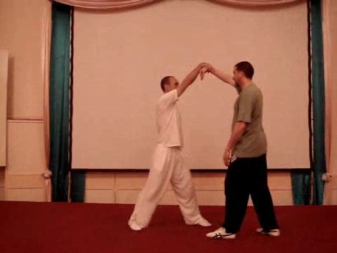 Wahnam Taijiquan, Tai Chi Chuan