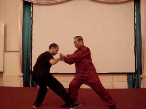 Wahnam Taijiquan, Tai Chi Chuan