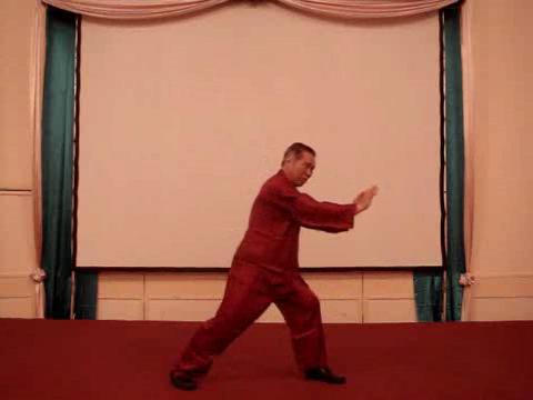 Wahnam Taijiquan