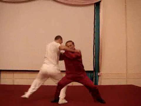 Wahnam Taijiquan