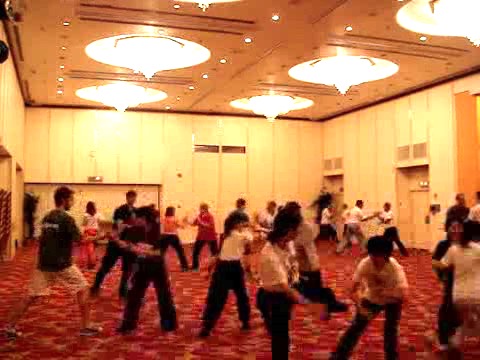 Wahnam Taijiquan, Tai Chi Chuan