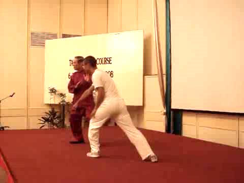 Wahnam Taijiquan