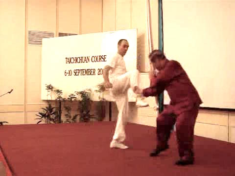 Wahnam Taijiquan