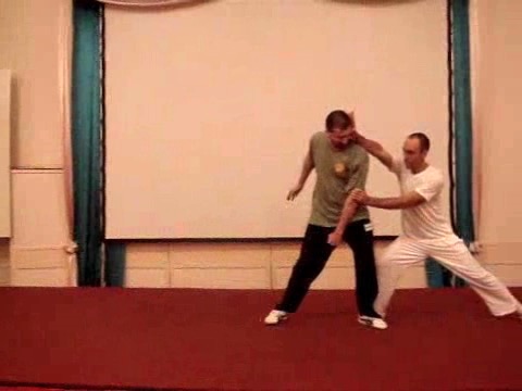 Wahnam Taijiquan