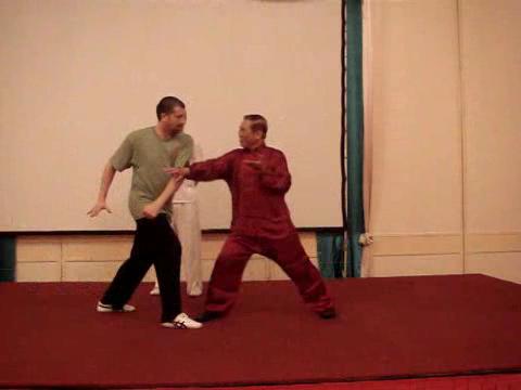 Wahnam Taijiquan, Tai Chi Chuan