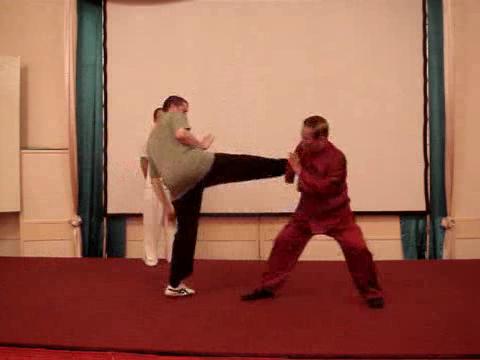 Wahnam Taijiquan