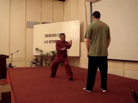 Wahnam Taijiquan