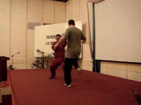 Wahnam Taijiquan