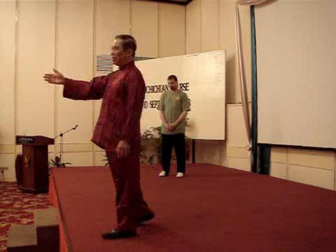 Wahnam Taijiquan Tai Chi Chuan