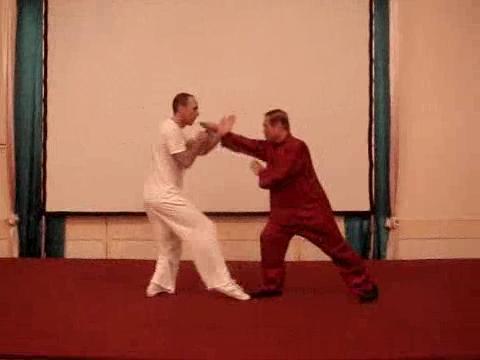 Wahnam Taijiquan