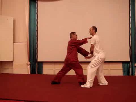 Wahnam Taijiquan