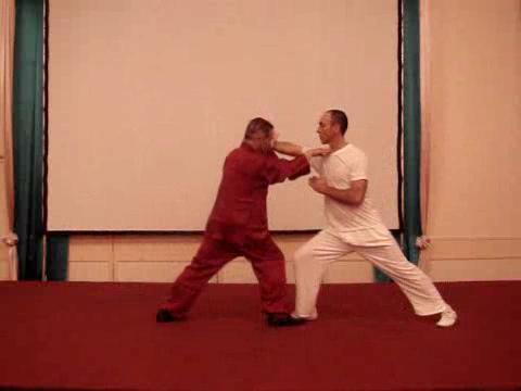 Wahnam Taijiquan, Tai Chi Chuan