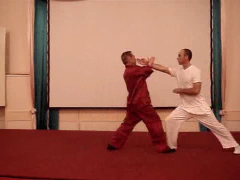 Wahnam Taijiquan