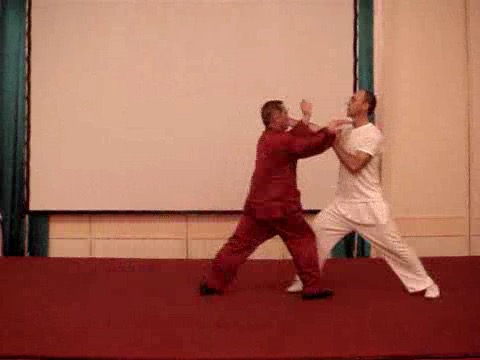 Wahnam Taijiquan