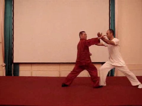 Wahnam Taijiquan