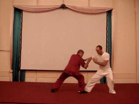 Wahnam Taijiquan