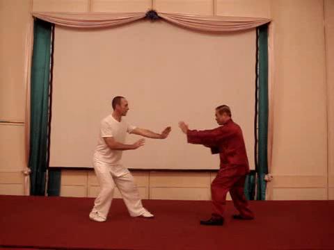 Wahnam Taijiquan