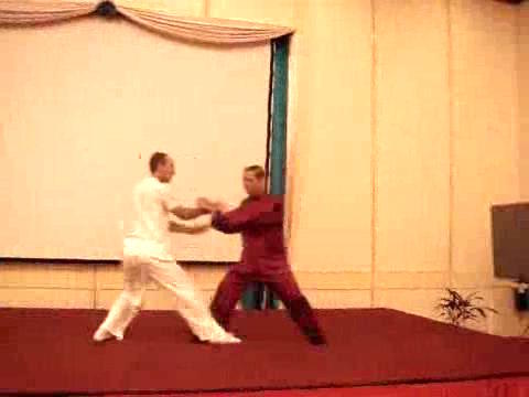 Wahnam Taijiquan