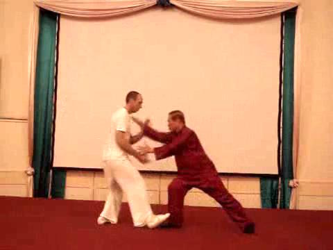 Wahnam Taijiquan