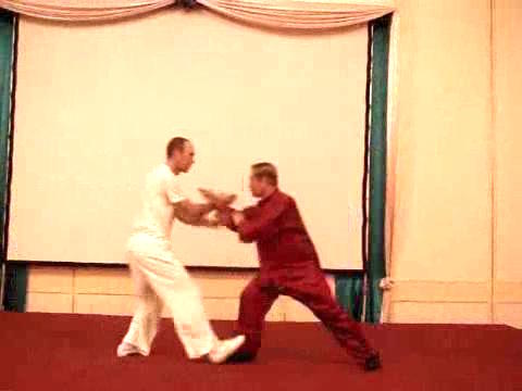 Wahnam Taijiquan