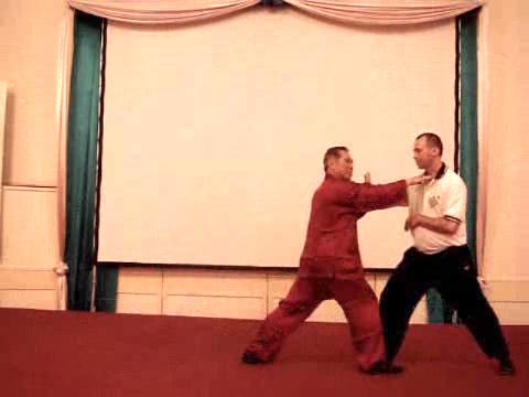 Wahnam Taijiquan