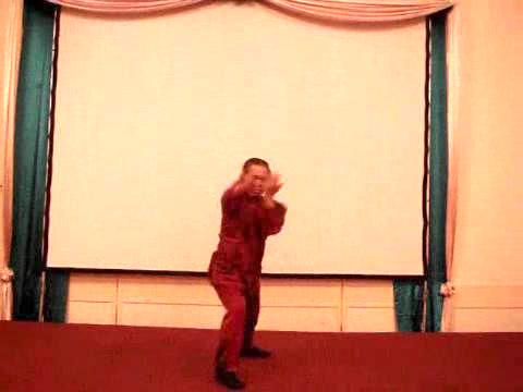 Wahnam Taijiquan