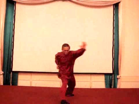 Wahnam Taijiquan, Tai Chi Chuan