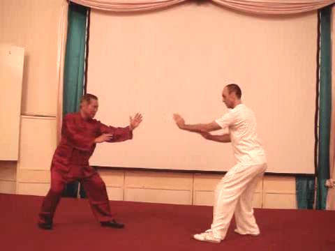 Wahnam Taijiquan