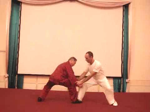 Wahnam Taijiquan