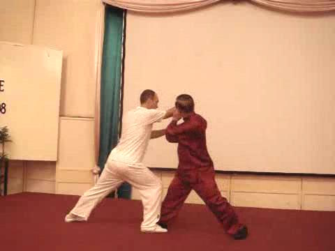 Wahnam Taijiquan