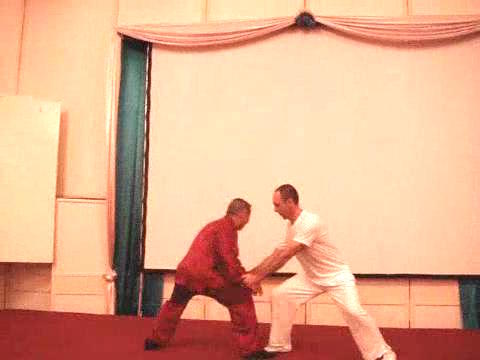 Wahnam Taijiquan