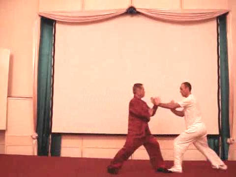 Wahnam Taijiquan