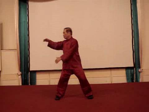 Wahnam Taijiquan, Tai Chi Chuan