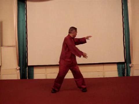 Wahnam Taijiquan