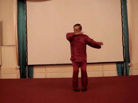 Wahnam Taijiquan