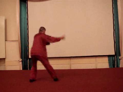 Wahnam Taijiquan