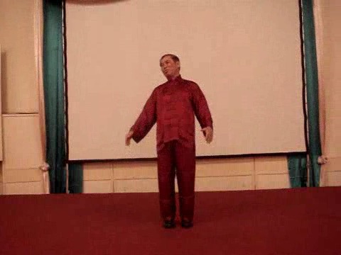 Wahnam Taijiquan