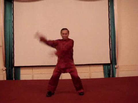 Wahnam Taijiquan