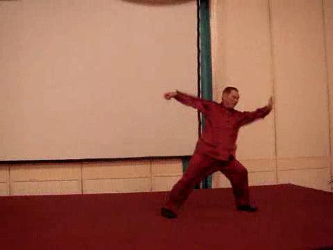 Wahnam Taijiquan