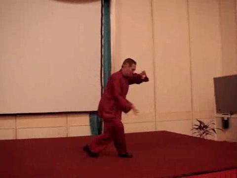 Wahnam Taijiquan