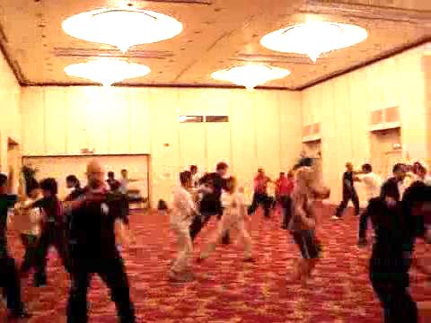 Wahnam Taijiquan Tai Chi Chuan