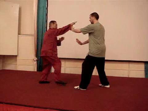 Wahnam Taijiquan